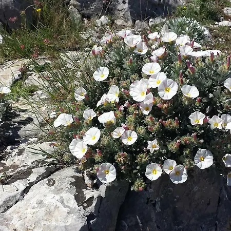 Hébergement de vacances Mala *