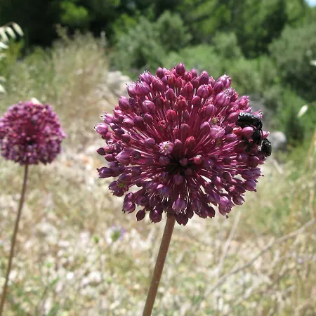 Mala Hébergement de vacances