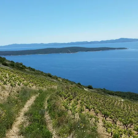 Hébergement de vacances Mala
