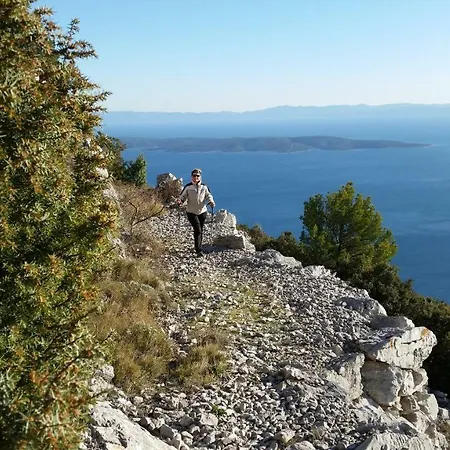 Hébergement de vacances Mala