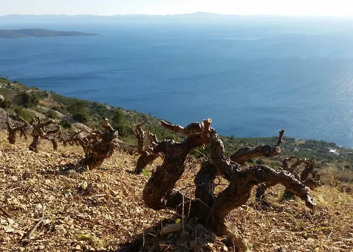 Mala Dom wakacyjny *