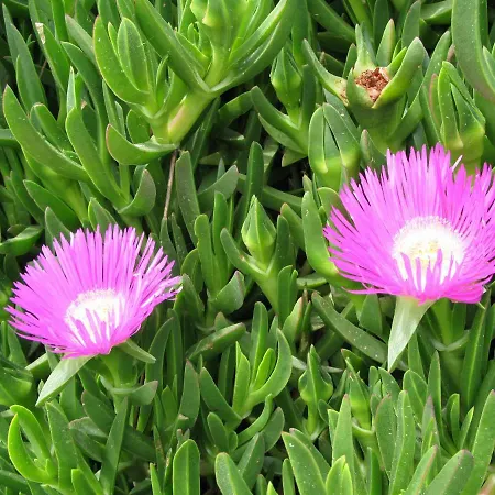 Mala Сasa de vacaciones Zavala