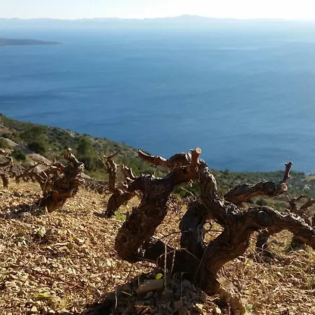 Mala Σπίτι διακοπών *