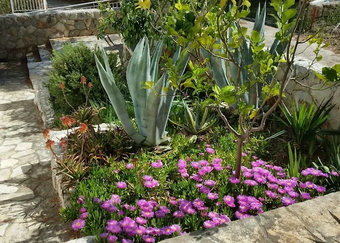 Tatil Evi Mala